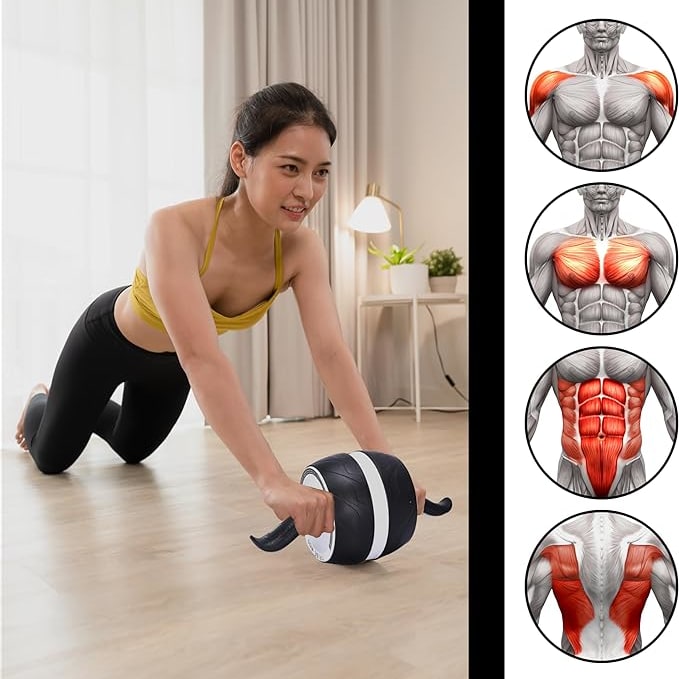 Ab Roller Wheel